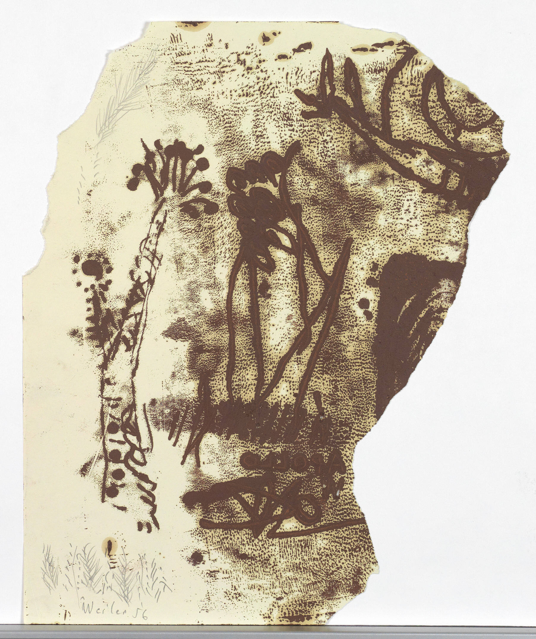 © Robert Najar