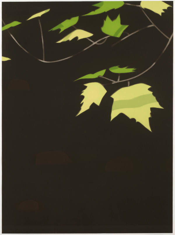 Black Brook