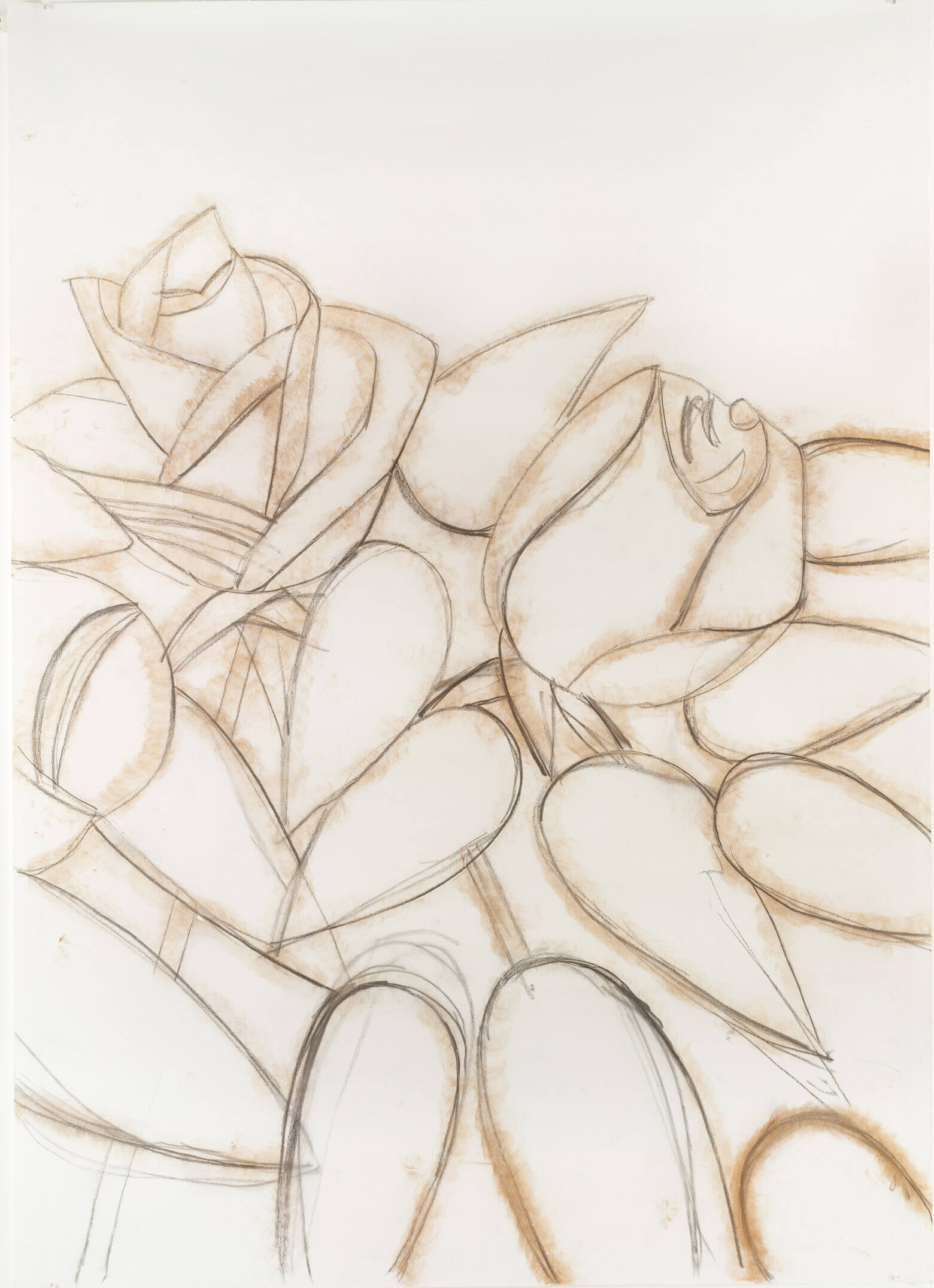 White Roses 6