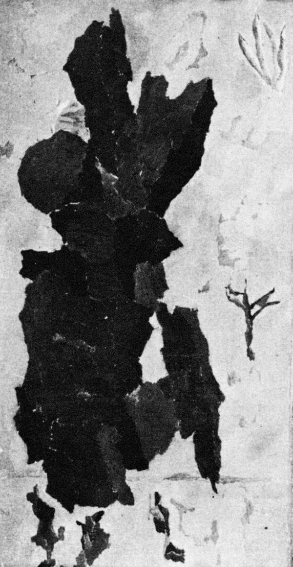 © Robert Najar