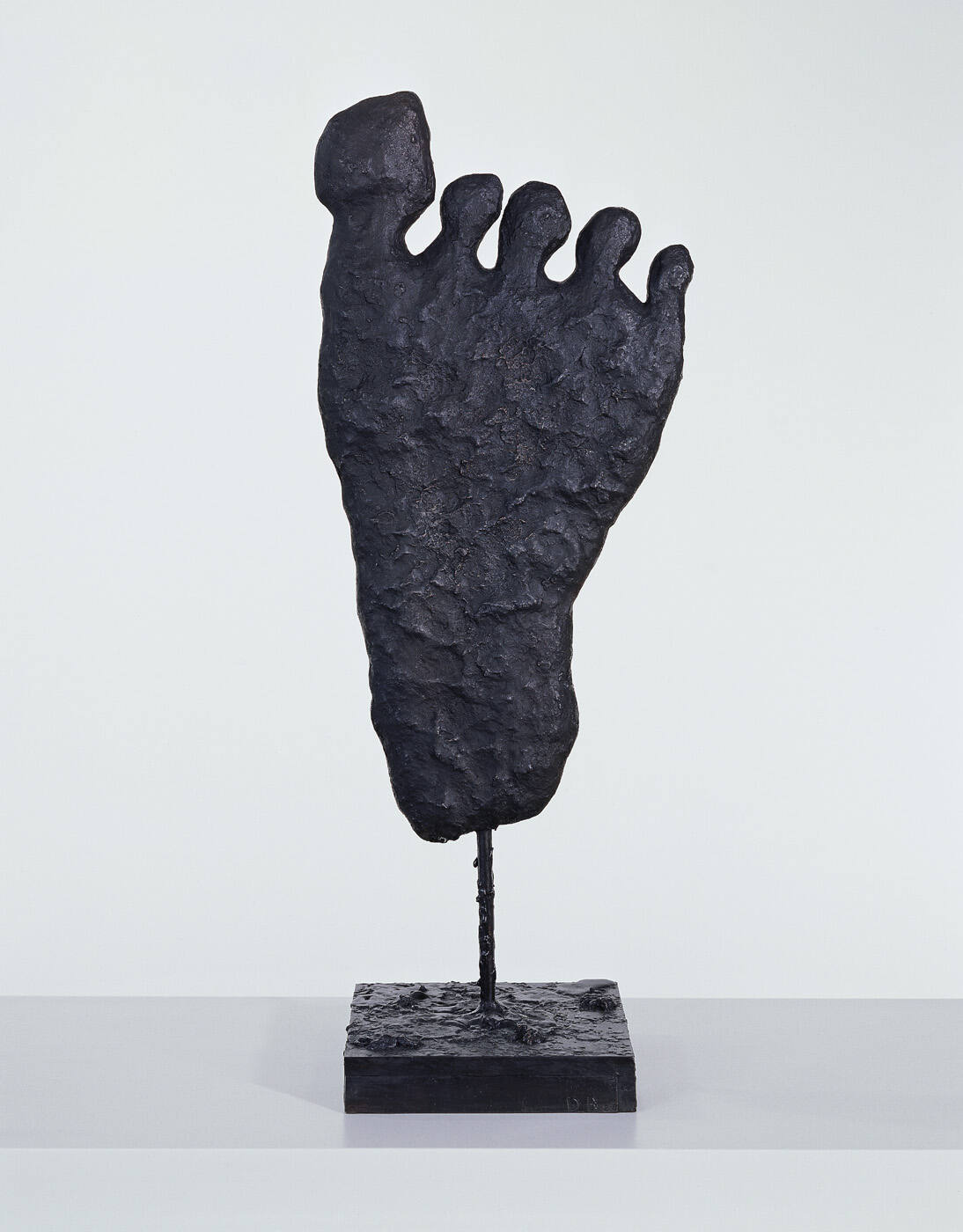 Foot