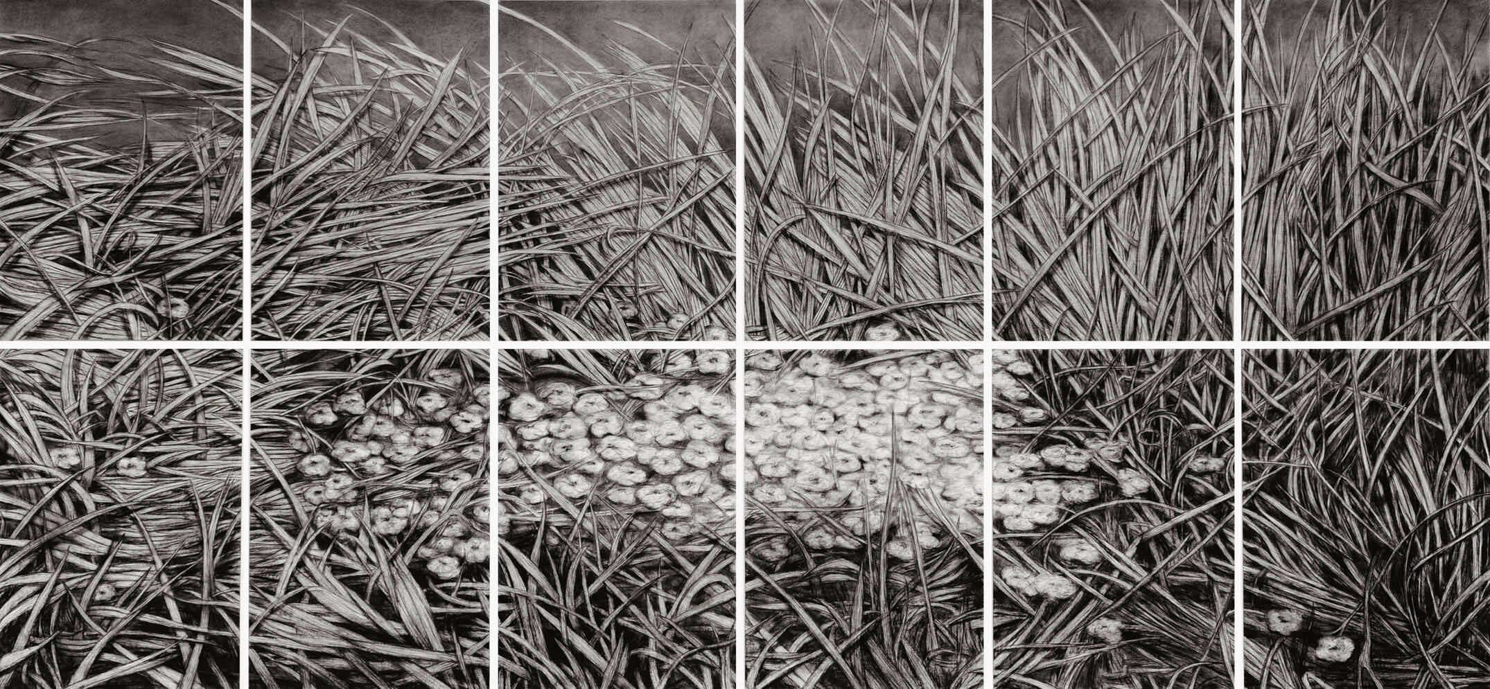 GRAS DES VERGESSENS I 1 (12-teilig)