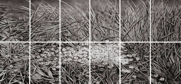 GRAS DES VERGESSENS I 1 (12-teilig)