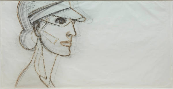 Visor