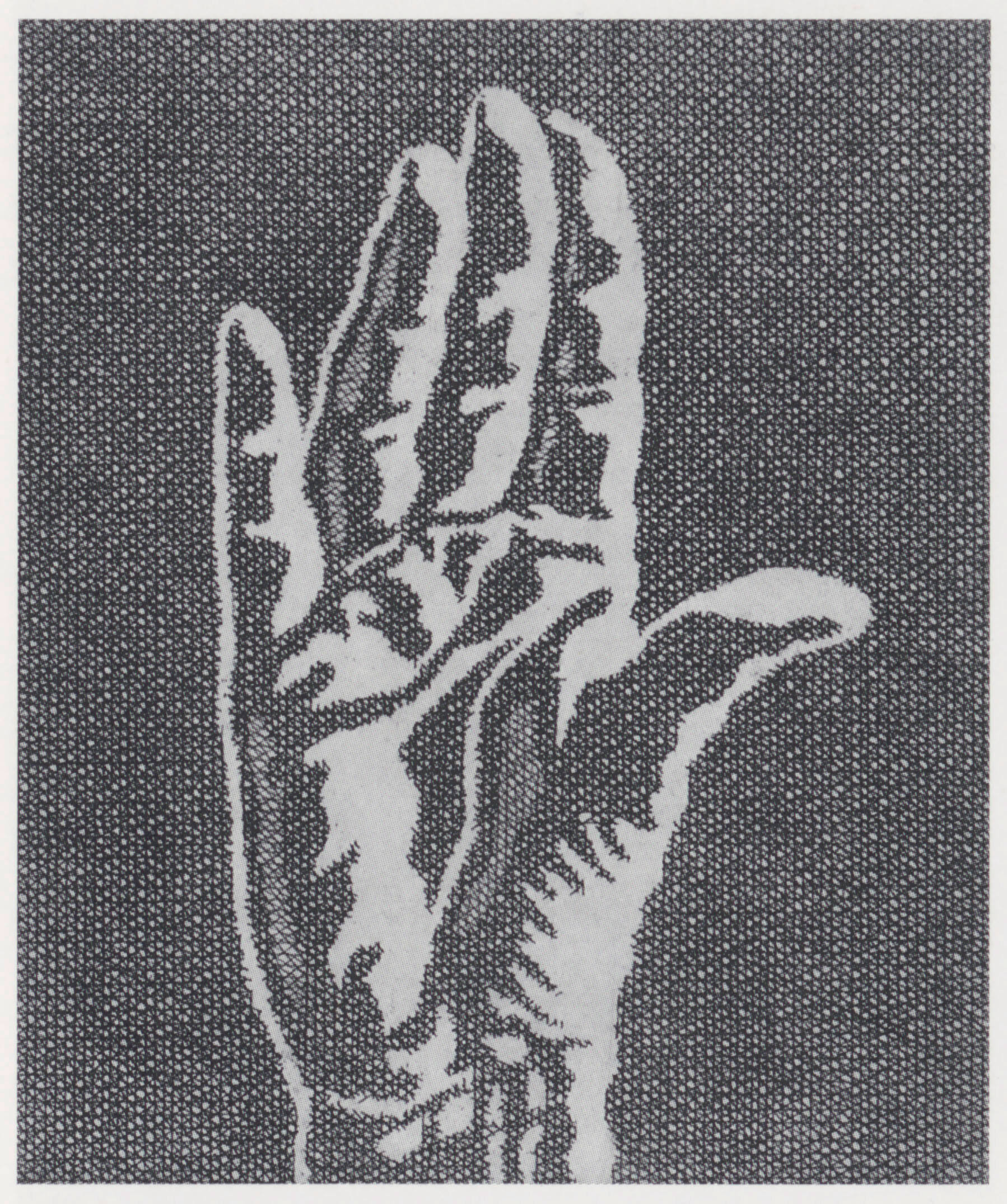 Winkende Hand