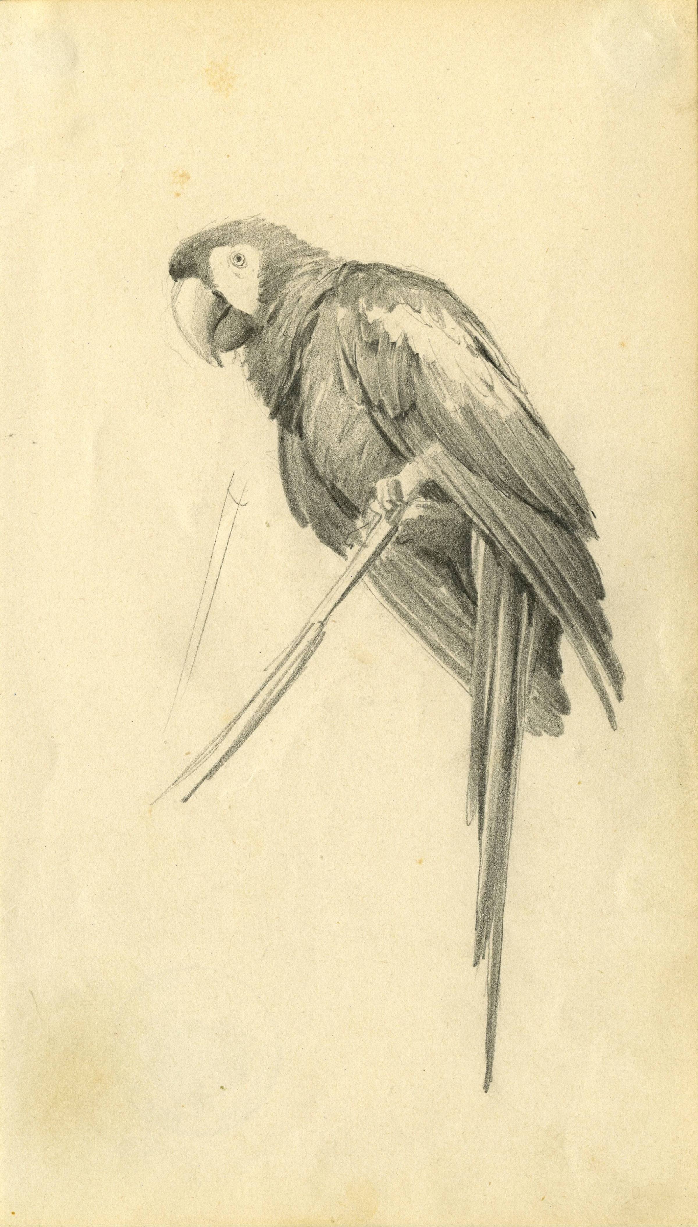 Kunstsammlung und Archiv, Universität für angewandte Kunst Wien, Inv. Nr. 467
