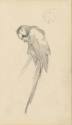 Kunstsammlung und Archiv, Universität für angewandte Kunst Wien, Inv. Nr. 474