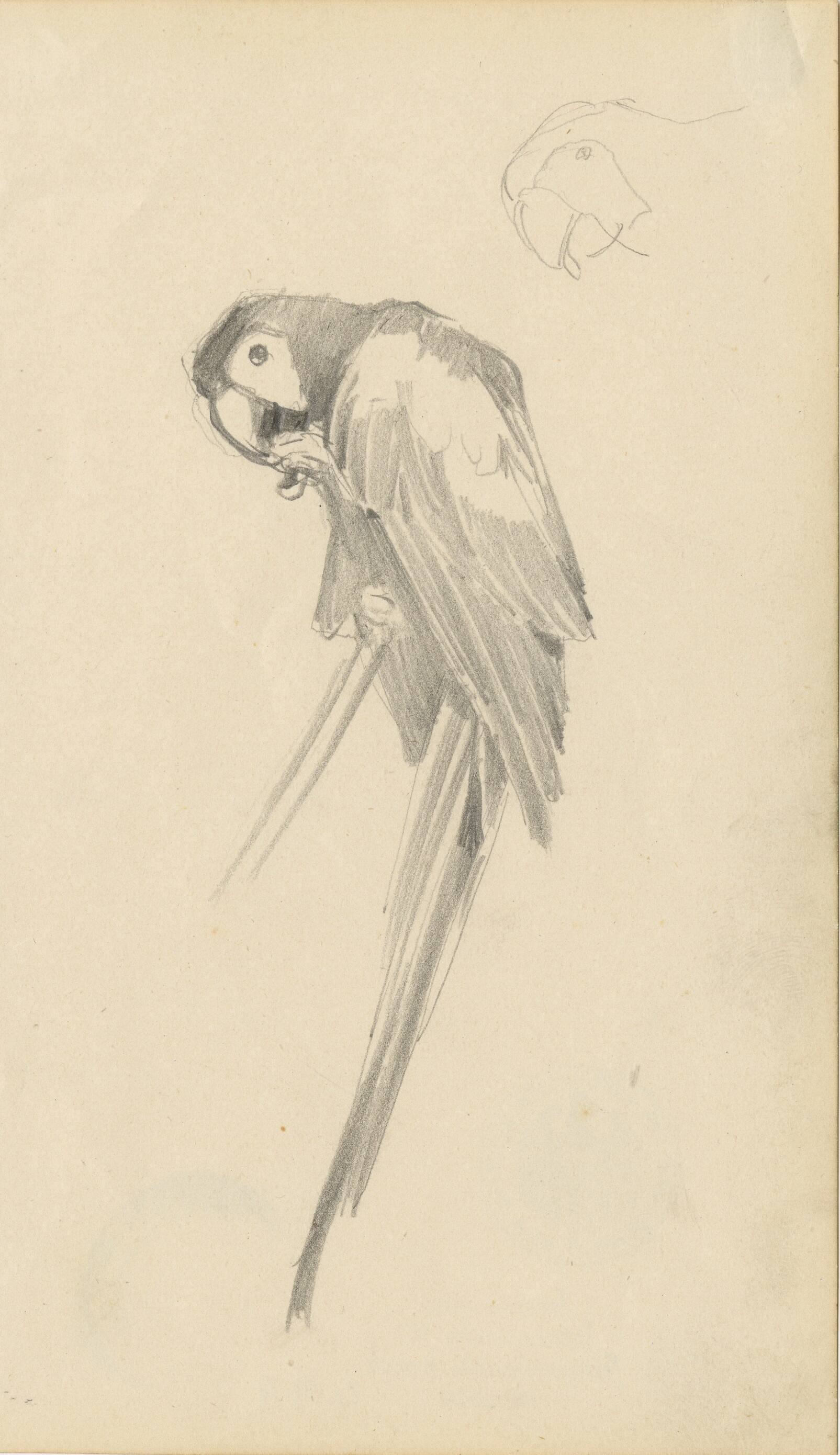 Kunstsammlung und Archiv, Universität für angewandte Kunst Wien, Inv. Nr. 474