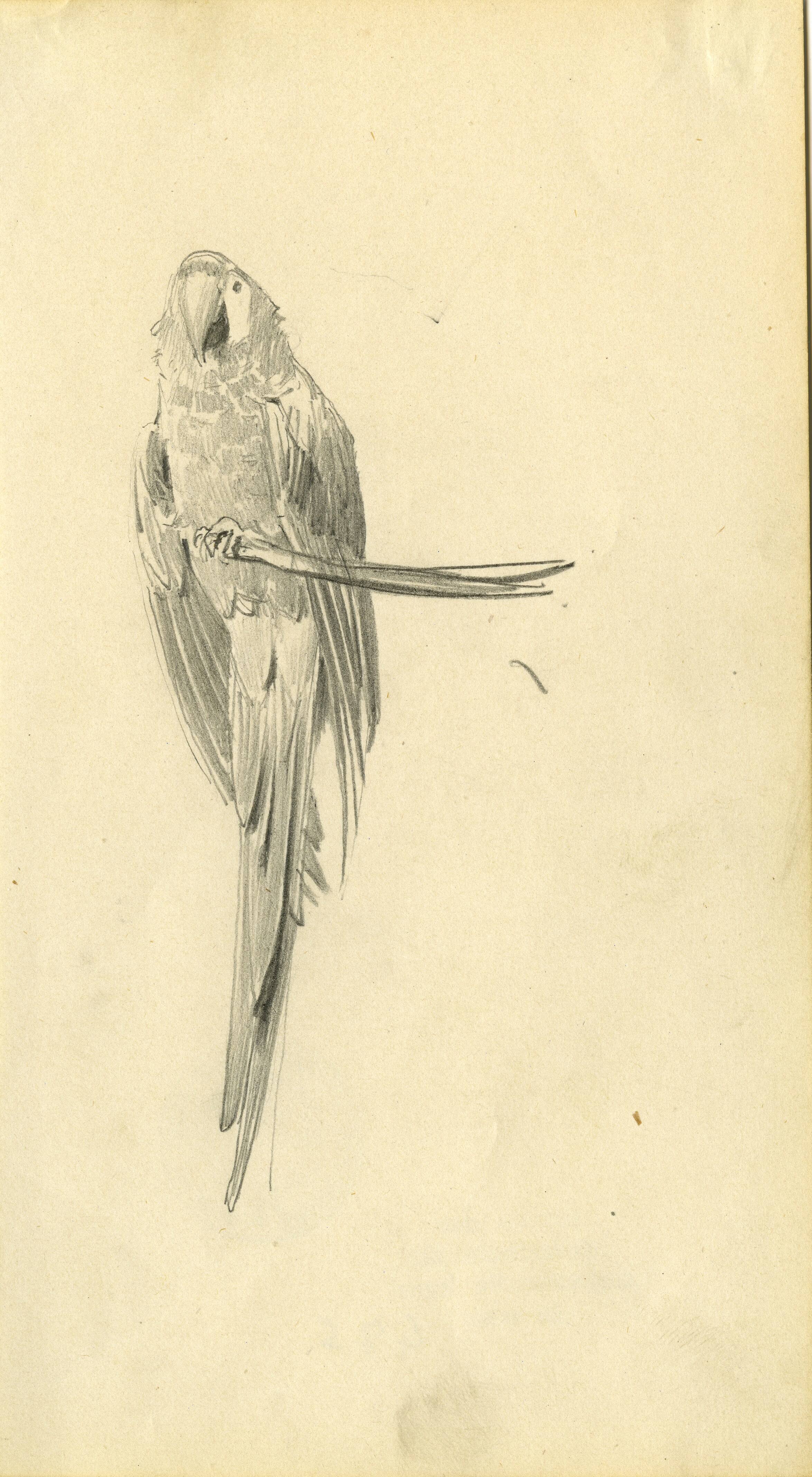 Kunstsammlung und Archiv, Universität für angewandte Kunst Wien, Inv. Nr. 475