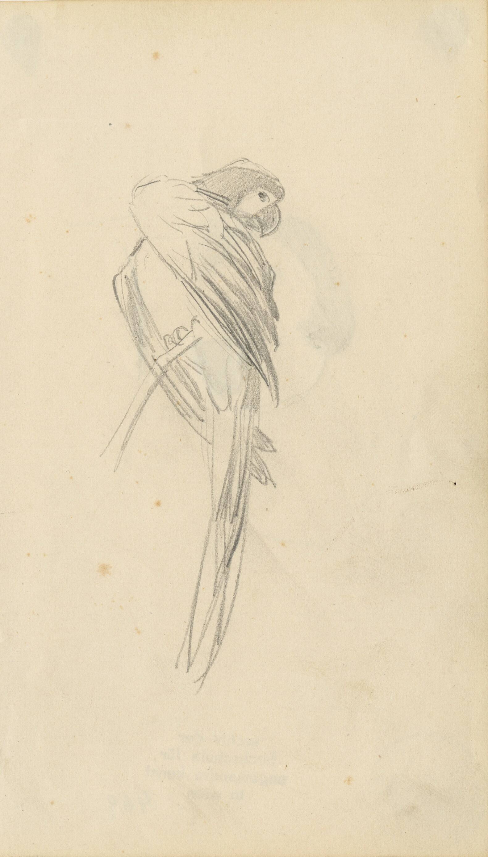 Kunstsammlung und Archiv, Universität für angewandte Kunst Wien, Inv. Nr. 469