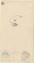 Kunstsammlung und Archiv, Universität für angewandte Kunst Wien, Inv. Nr. 476