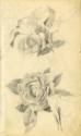 Kunstsammlung und Archiv, Universität für angewandte Kunst Wien, Inv. Nr. 479