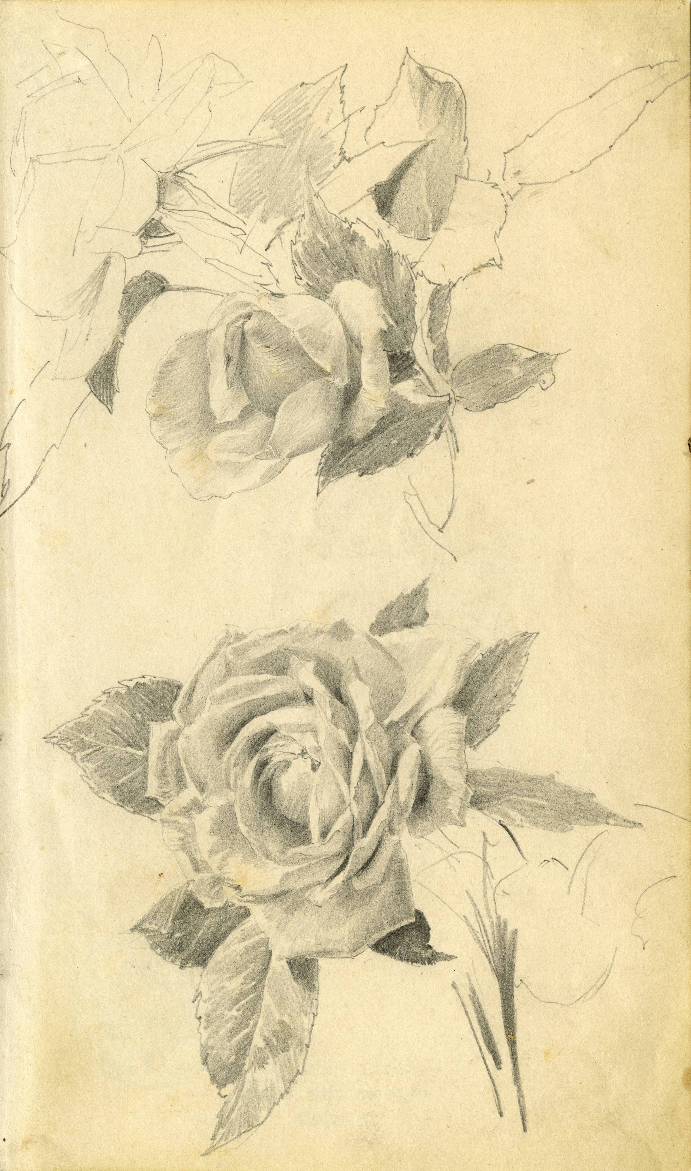 Kunstsammlung und Archiv, Universität für angewandte Kunst Wien, Inv. Nr. 479