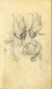 Kunstsammlung und Archiv, Universität für angewandte Kunst Wien, Inv. Nr. 480
