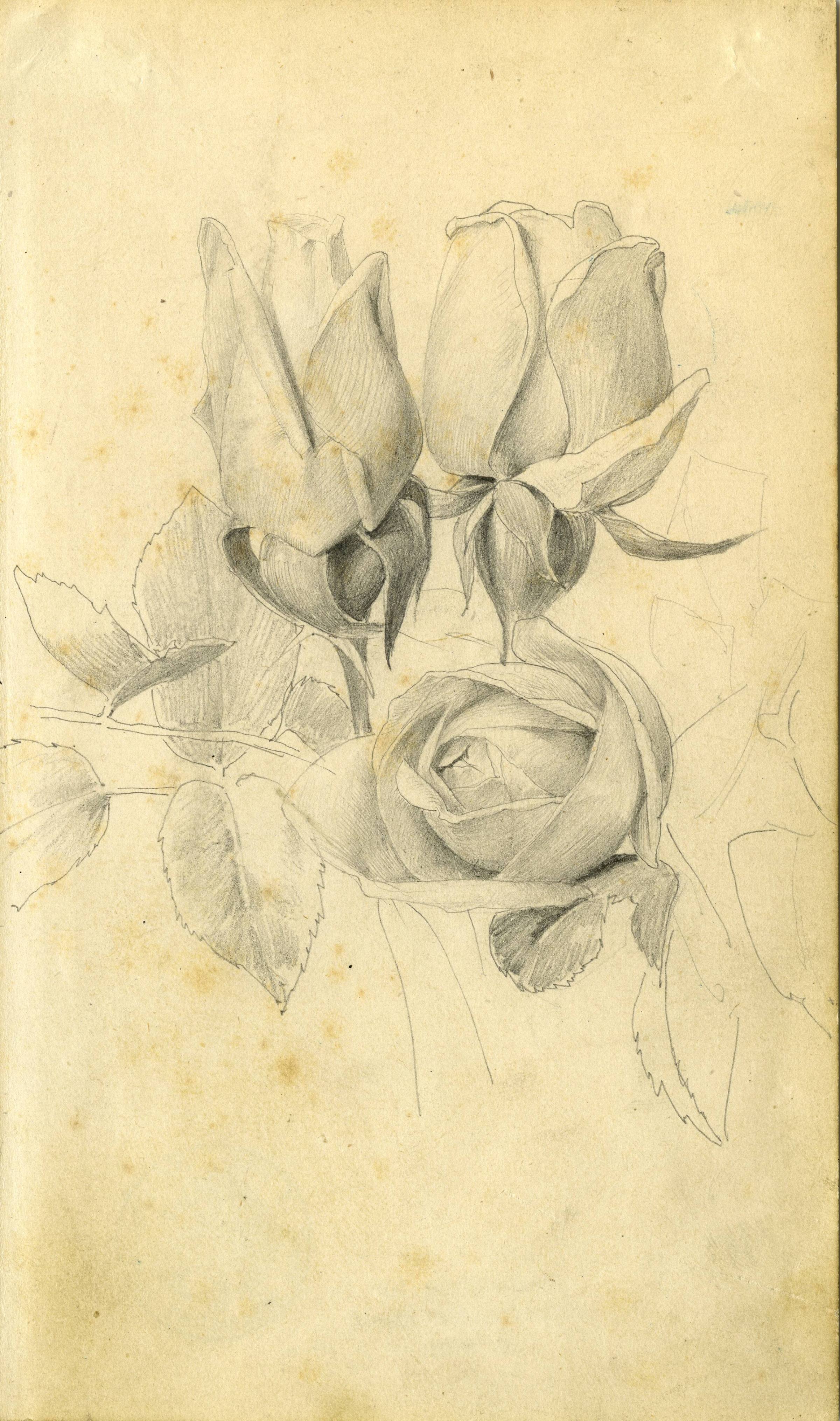 Kunstsammlung und Archiv, Universität für angewandte Kunst Wien, Inv. Nr. 480
