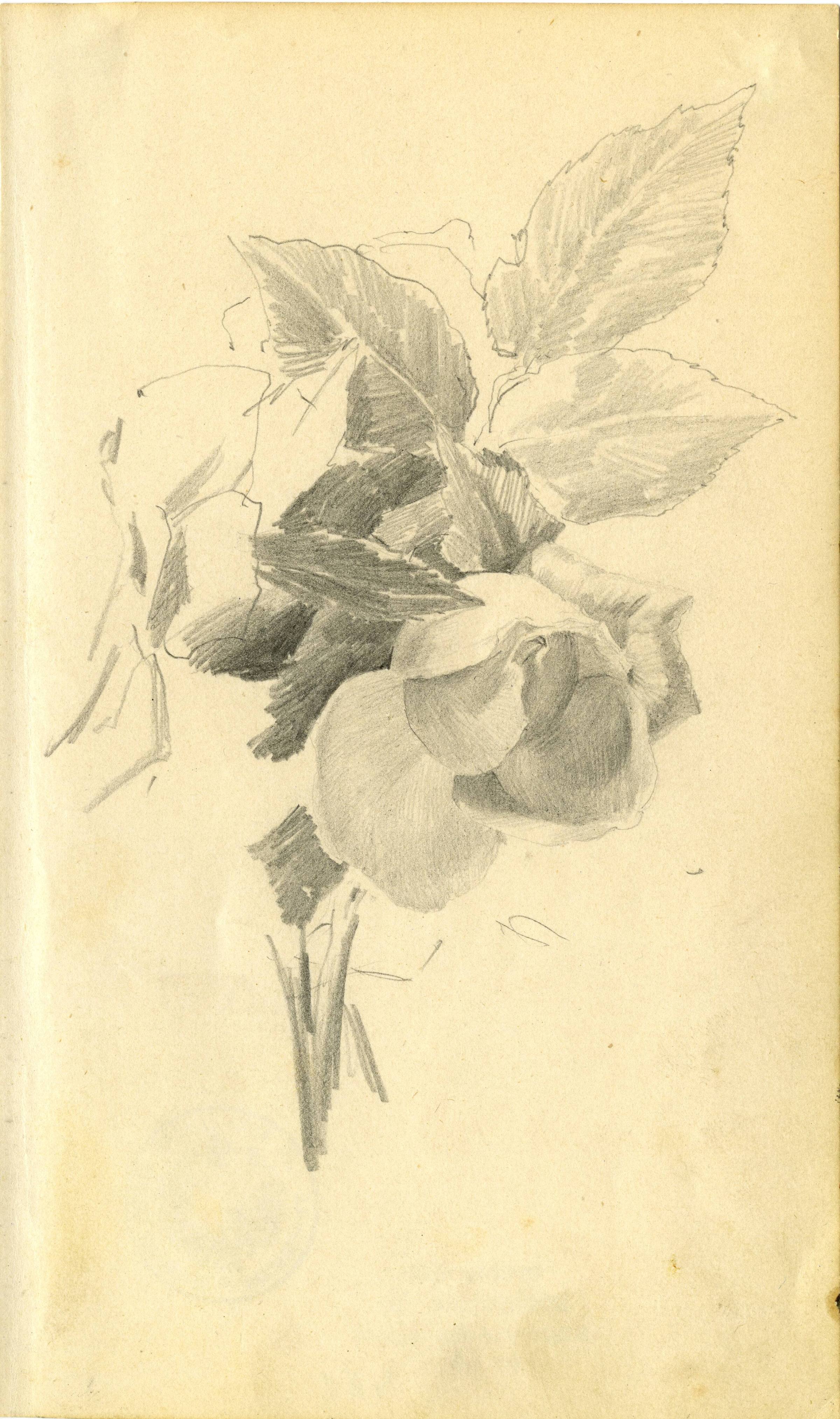 Kunstsammlung und Archiv, Universität für angewandte Kunst Wien, Inv. Nr. 481