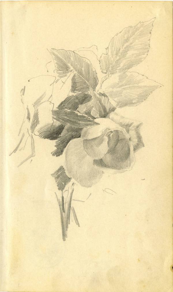 Kunstsammlung und Archiv, Universität für angewandte Kunst Wien, Inv. Nr. 481