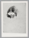 Foto: Archiv Alice Strobl/ALBERTINA, Wien