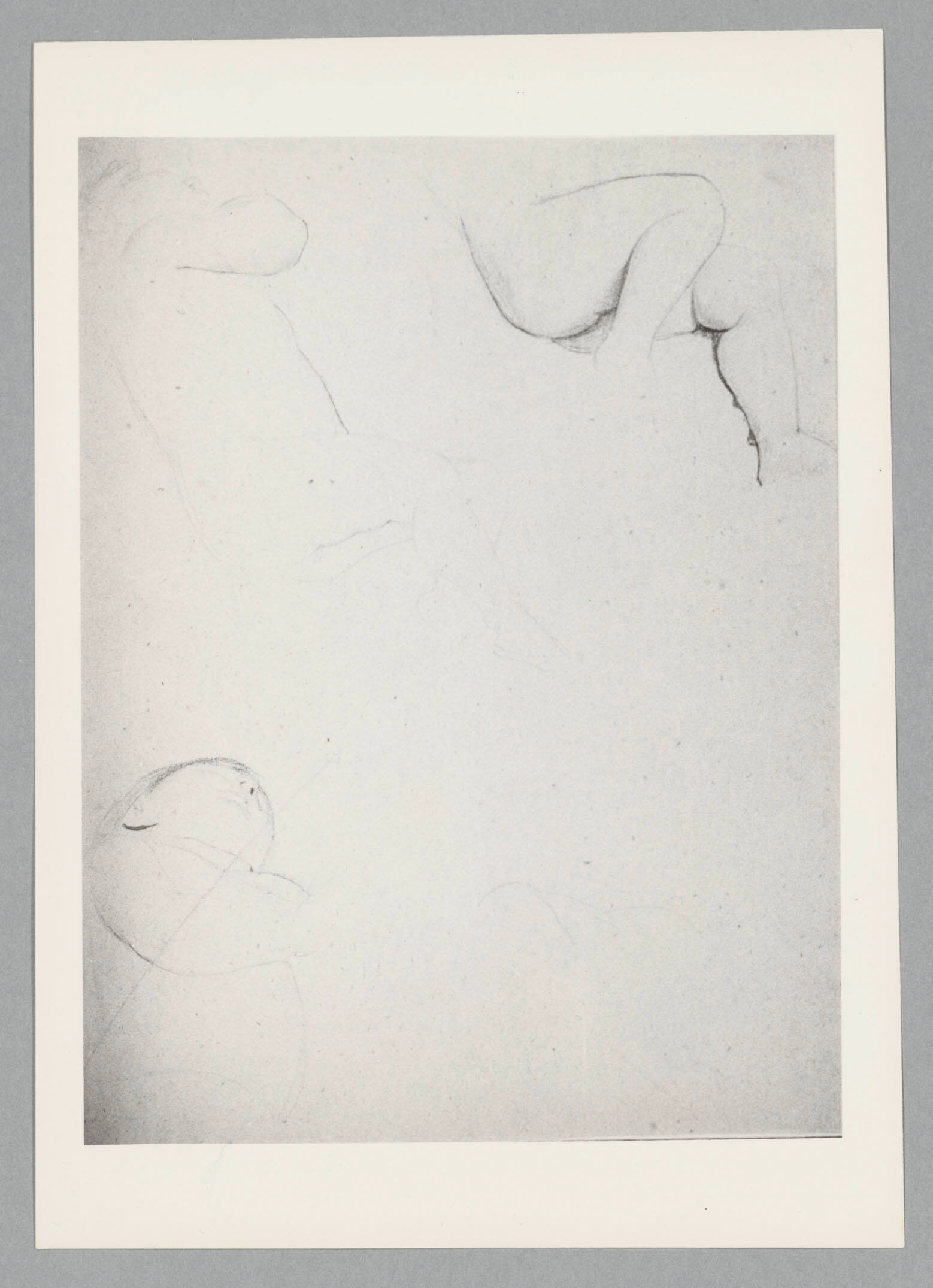 Foto: Archiv Alice Strobl/ALBERTINA, Wien