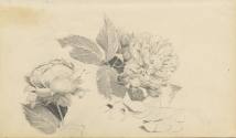 Kunstsammlung und Archiv, Universität für angewandte Kunst Wien, Inv. Nr. 478