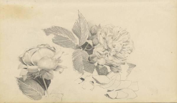 Kunstsammlung und Archiv, Universität für angewandte Kunst Wien, Inv. Nr. 478