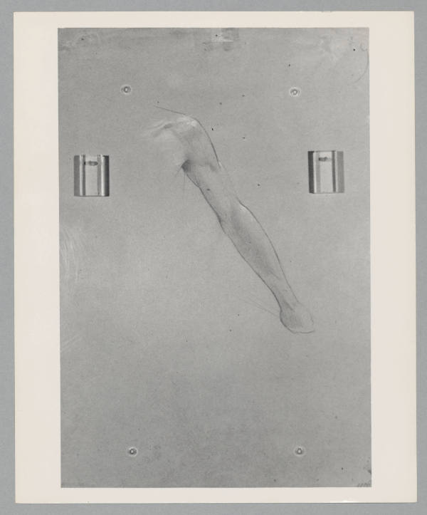 Foto: Archiv Alice Strobl/ALBERTINA, Wien