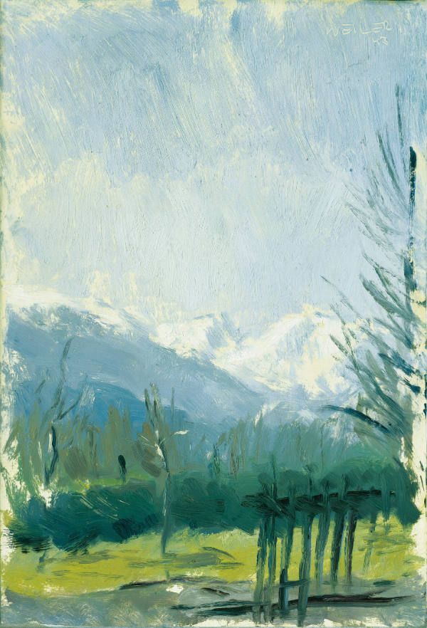 Blick von der Sternwartestraße/Innsbruck auf die Nockspitze