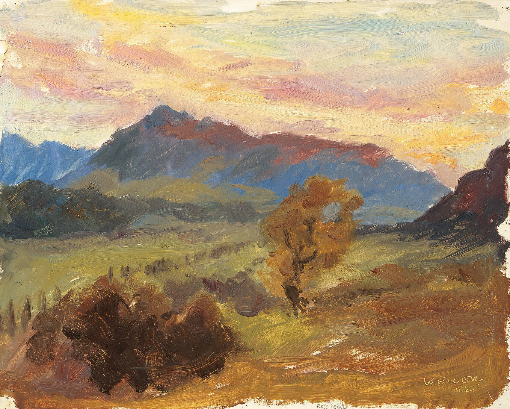 Rosskogel