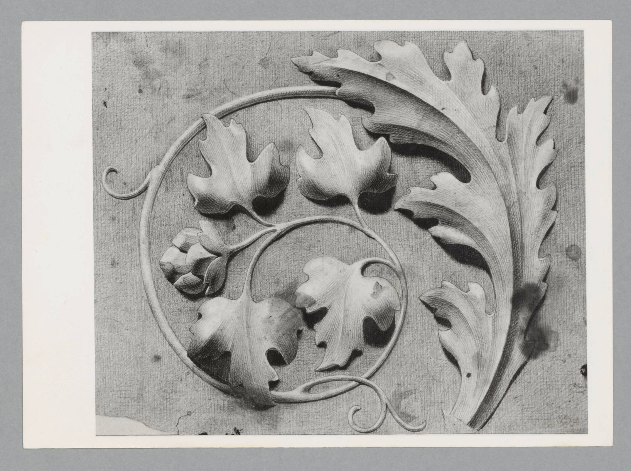 Foto: Archiv Alice Strobl/ALBERTINA, Wien
