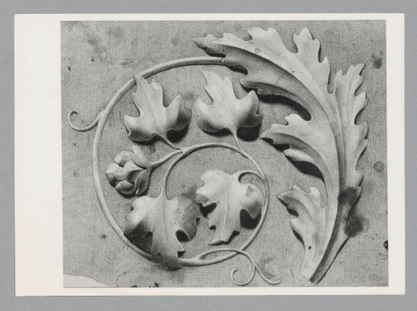 Foto: Archiv Alice Strobl/ALBERTINA, Wien

